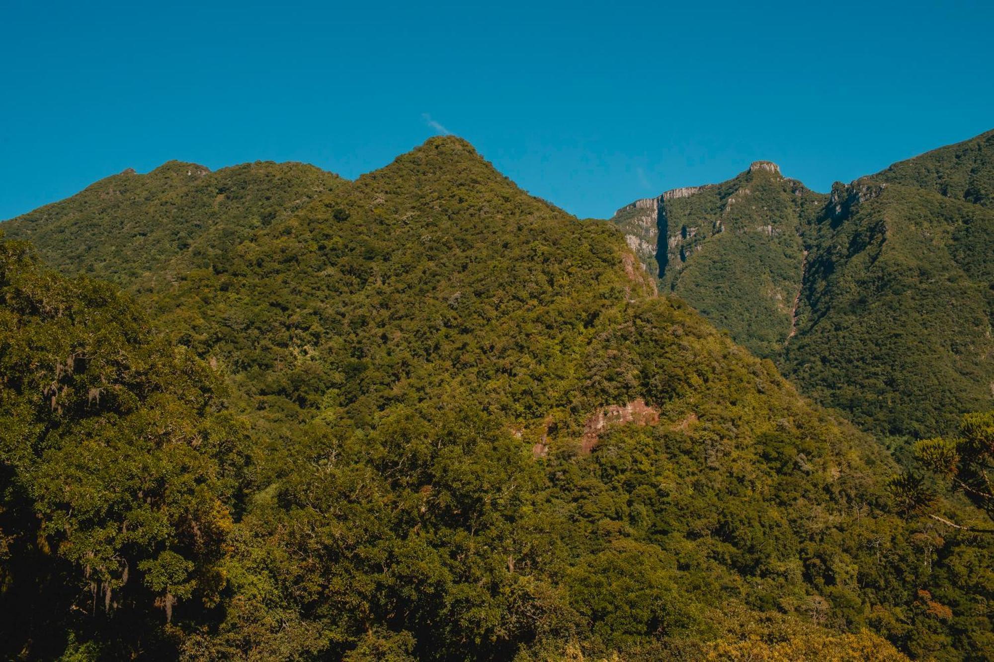 Pousada Bugio Da Serra Novo Horizonte  Exterior foto
